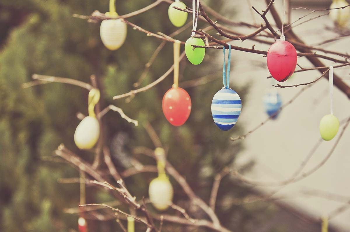 Colorful Easter eggs hanging from tree branches